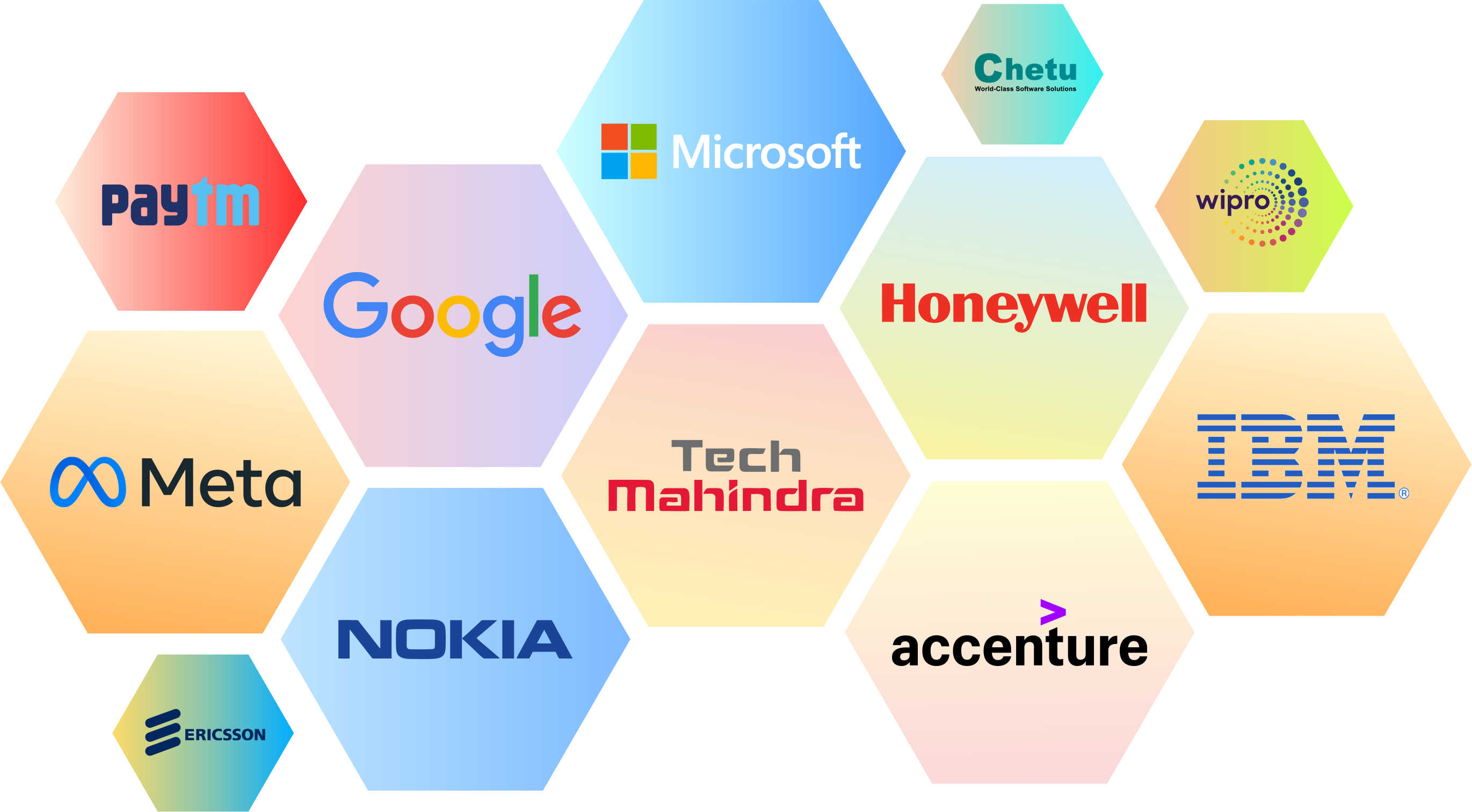Diverse Programming Languages for Data Science